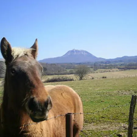 D'une A Avec Magnifique Vue Sur La Montagne Piscine Partagee Jardin Clos * Olby